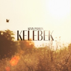 kelebek