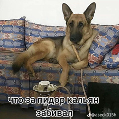 Тбили Тёплый – Пустота.mp3