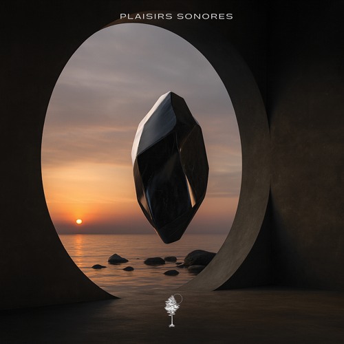 Hicky & Kalo 'Rise EP' [Plaisirs Sonores Records]