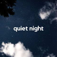 Quiet Night, Pt. 14