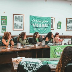 14.10.2025 = SEMINÁRIO NA CÂMARA DE SP ABORDOU VIOLÊNCIA E GRAVIDEZ NA ADOLESCÊNCIA