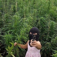 сатива