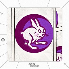 Moonshine Bunny #4.2 invites - Lottie b2b Lerro