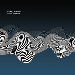 Gravitational Waves - (Canopy Of Stars Remix Extract)