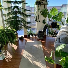 🍃