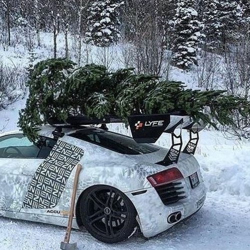Hvppy Tree Rapper Stream FXCK 2022, HVPPY 2023 by SELF CNTRL | Listen online for free on ...