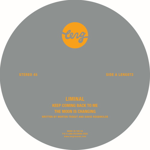 Keep Coming Back to Me (Ray Mang Remix Edit)