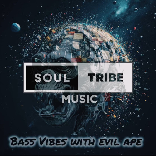 STMs Bass Vibes with Evil Ape