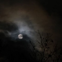 Bewarnd - Lunar Signals (4-23-22)