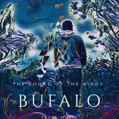 THE SOUND OF THE BIRDS #02 (BUFALO)