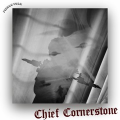 2023 年播放列表 14