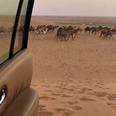 ذولا سبيع وذكرهم ماله حدود 🐆