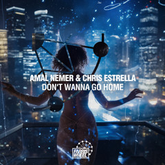 Amal Nemer, Chris Estrella - Don't Wanna Go Home