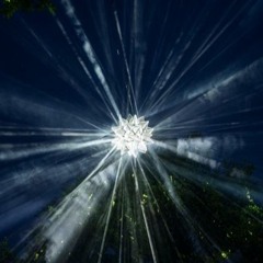 SPALT_Rave