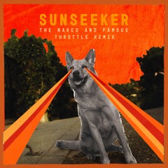 The Naked & Famous - Sunseeker (Throttle Remix)