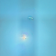 Rays at Noon