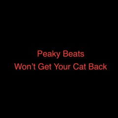 Won't Get Your Cat Back