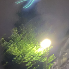 あいしてみる