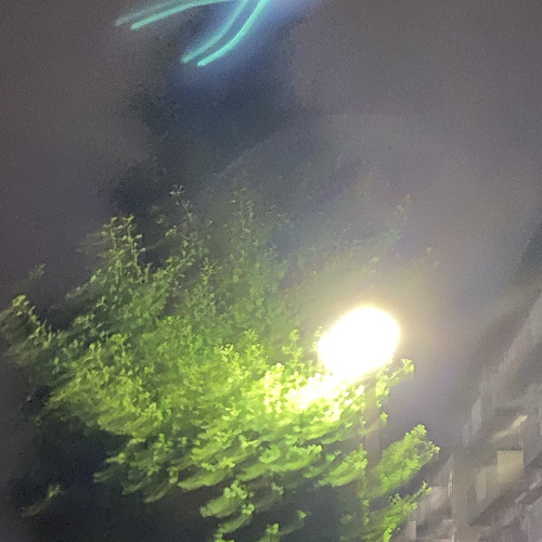 あいしてみる