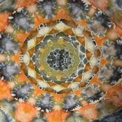 The HighStreet Slide.mp3