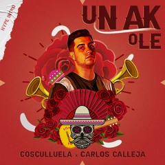 Ak x Ole - Cosculluela (Carlos Calleja Hype Intro)
