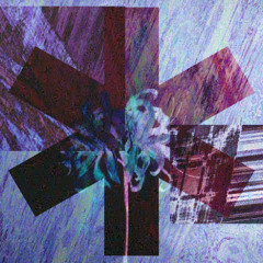 𝕾𝖎𝖓𝖌𝖚𝖑𝖆𝖗𝖎𝖙𝖞❁