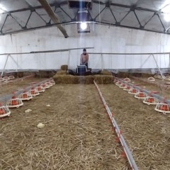 Farm Session [Peak Time Techno/Drumcode mix]