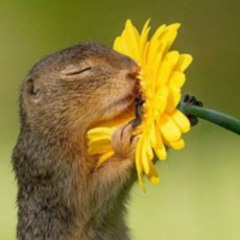 MAY 2024 - MAXWELL KRIVITZKY SET