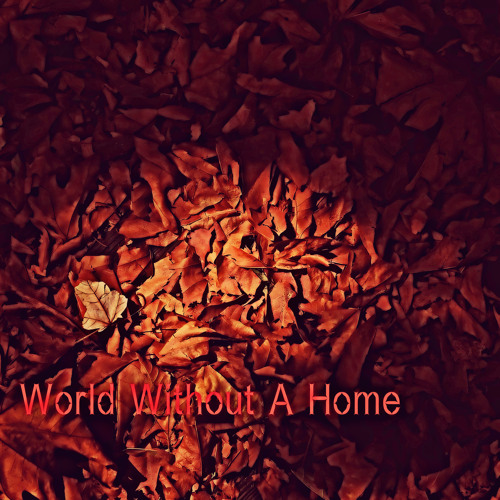 World Without A Home