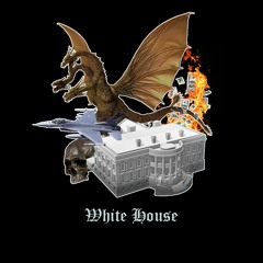 Albert nbn type beat "White House"