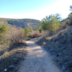 Walking in His ways