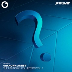 Unknown Artist - Someone That Loves You [Fokuz Recordings]