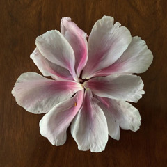 مروان فقي / يطول الكلام (ماتحن؟)