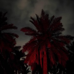 يا وحشة سواد الليل وش لش على المهموم ؟