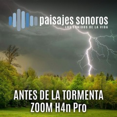 Ambiente previo a una Tormenta [Zoom H4n Pro, AudioTechnica BP4025]