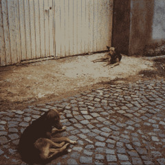 It exists just for her