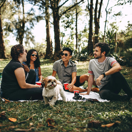 MA867 - Foundations of Discipleship: Becoming One with Father