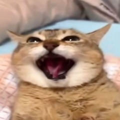 restored deleted file