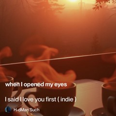 I said I love you (ndie)