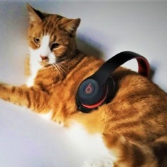 E DUBBZZ is Live from BK NYC -08.03.2023 Saturday night  AFTERS -FRESH TECHNO HOUSE N FIRE B