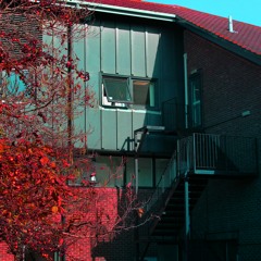 Wave 🌊 [mission viii]