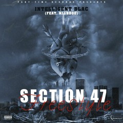 Section 47 Freestyle