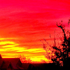 Stupid (Last Night Out)