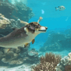 Bready Ft. ilyKirai (Prod me x Jaydon8D)