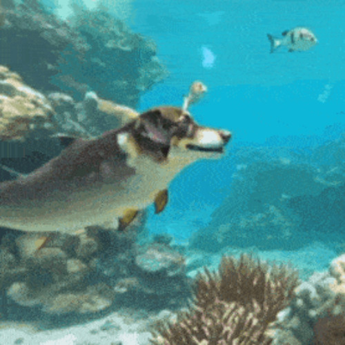 Bready Ft. ilyKirai (Prod me x Jaydon8D)