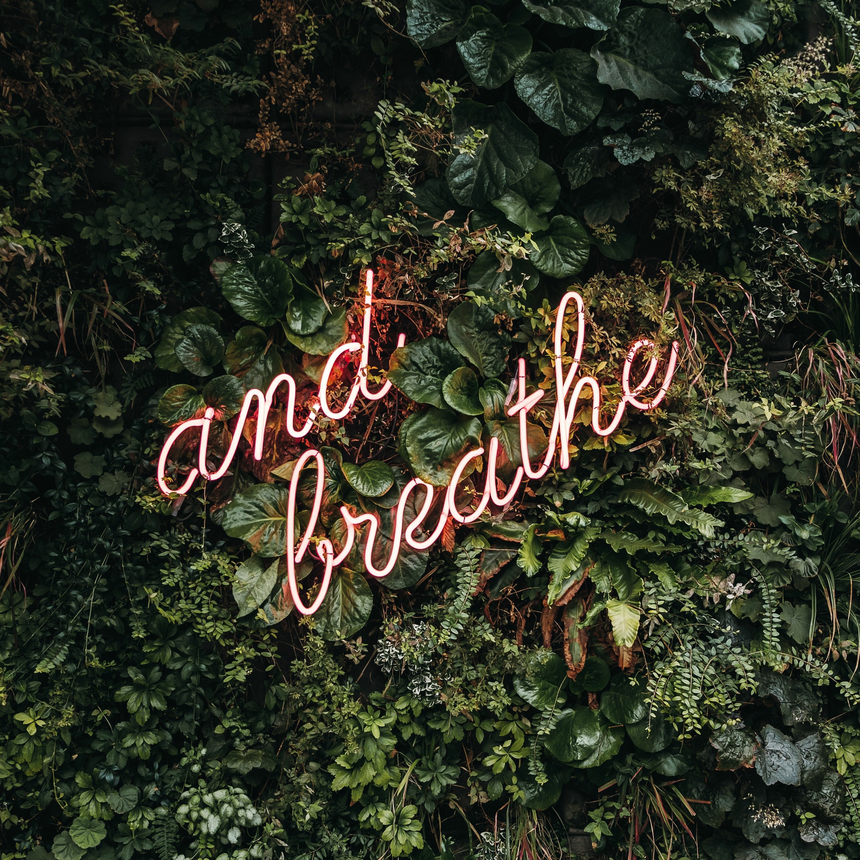 Inspirerende blogs en meditaties