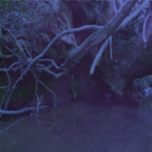 Ellinia & Liam Tree - Tears of Dawn