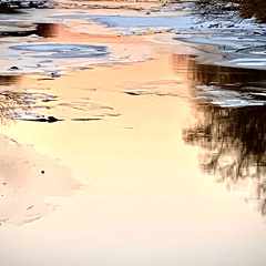 Gazing Into the Gazing, in Winter, Insects Sing to Themselves