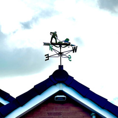 Ultrasound prod. nightiger