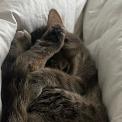 join us for a bite (fun version)